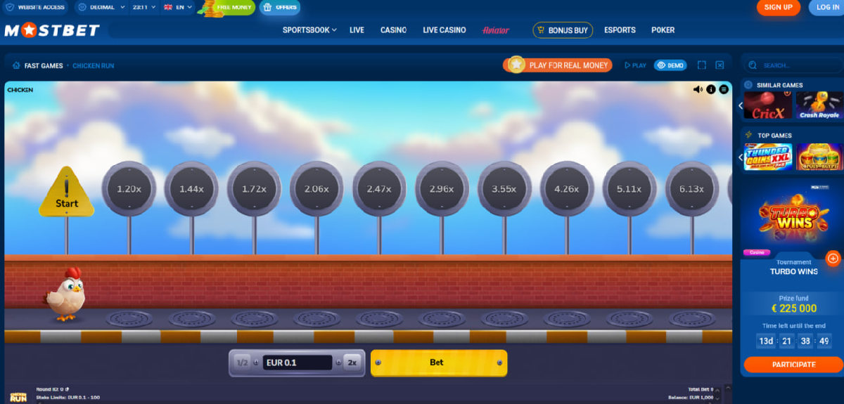 Chicken Run characteristics and main game parameters